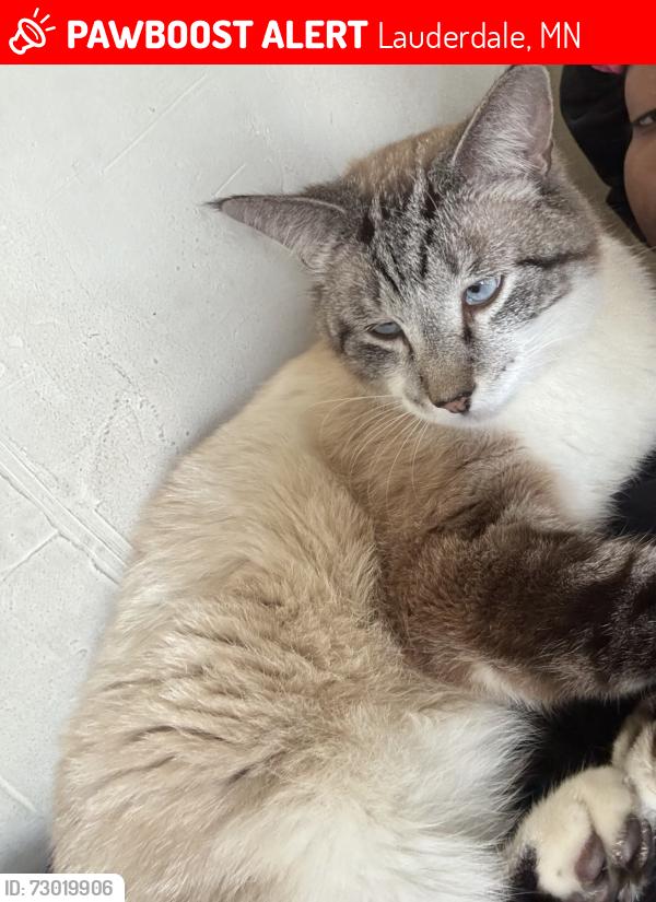 Lost Male Cat last seen super usa ed’s deli, Lauderdale, MN 55413