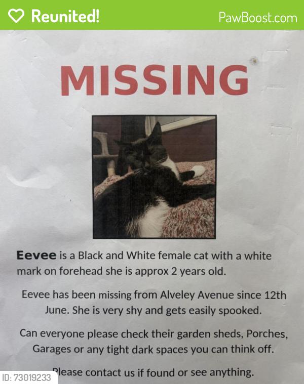 Reunited Female Cat last seen Alveley avenue , Greater Manchester, England M20