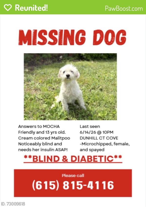 Reunited Female Dog last seen Dunhill court cove , La Vergne, TN 37086