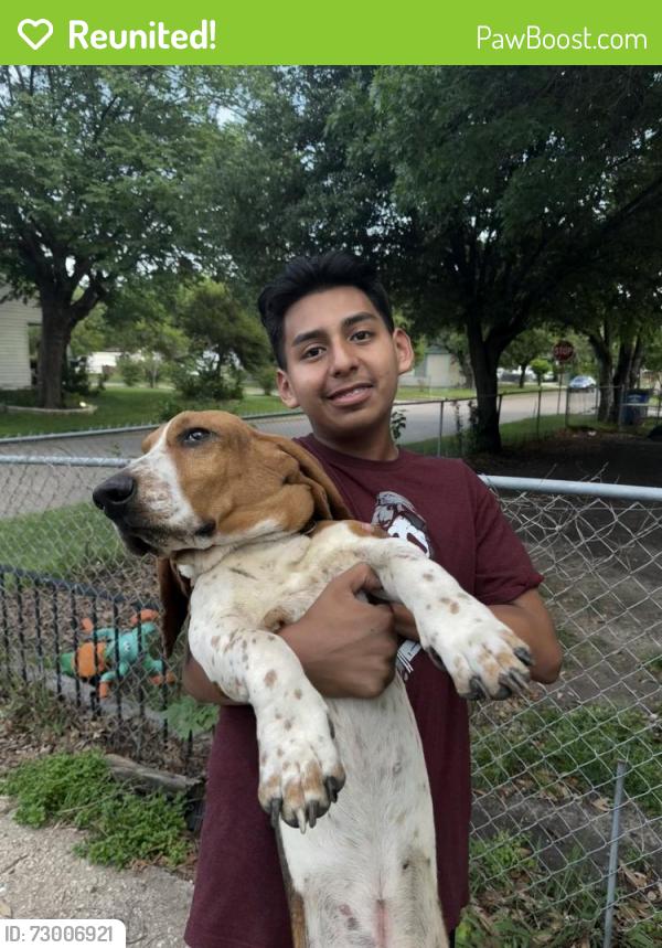 Reunited Male Dog last seen Illinois and Hampton , Dallas, TX 75224