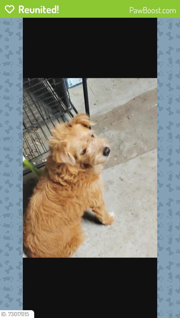 Reunited Female Dog last seen Paradise hills rec center , San Diego, CA 92139