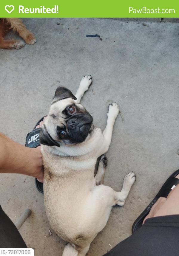 Reunited Male Dog last seen Paradise hills rec center , San Diego, CA 92139