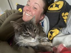Lost Female Cat last seen Walden bluff ct. or home rd area grove city , Grove City, OH 43123