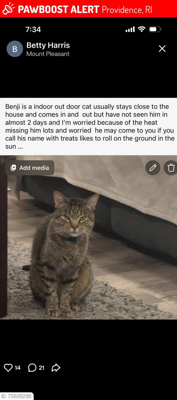 Lost Male Cat last seen Academy Ave, near Citizens Bank, Providence, RI 02908