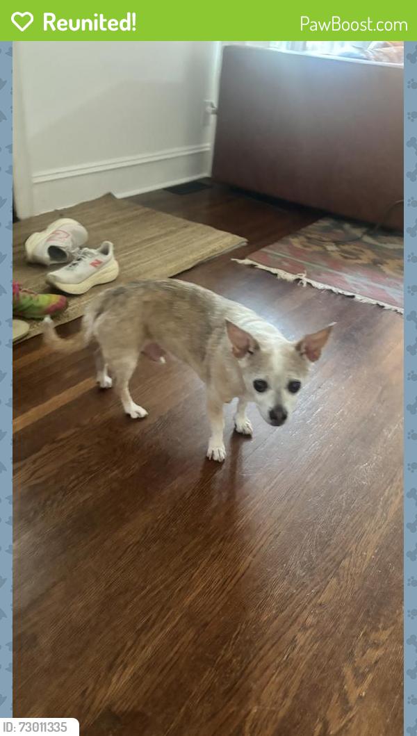 Reunited Male Dog last seen Haviland and Charlotte in Nicholtown, Greenville, SC 29607