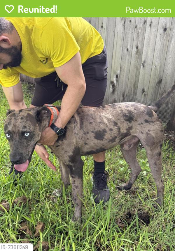 Reunited Male Dog last seen San Marcos St, Seguin, TX 78155