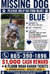 Lost Male Dog last seen Lenoir City behind Cookout, Lenoir City, TN 37772