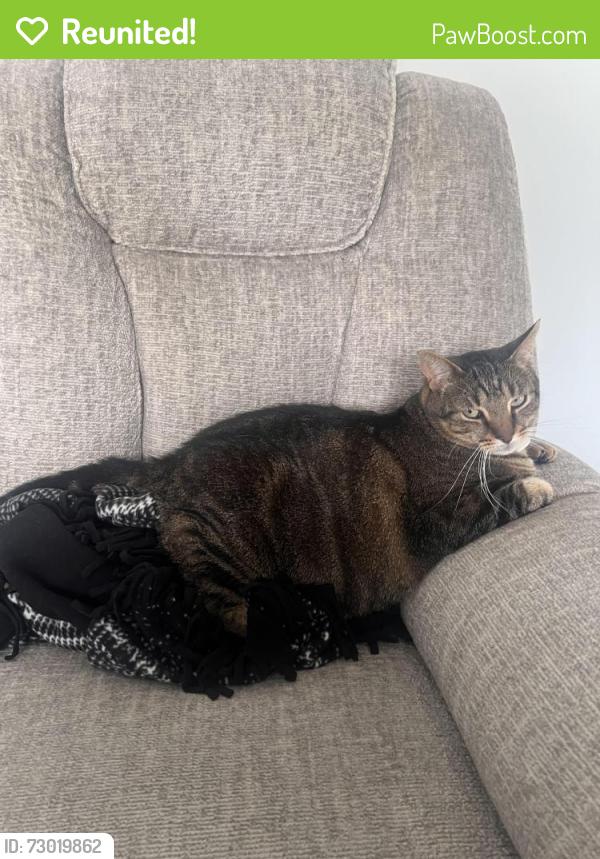Reunited Male Cat last seen CVS , Bensalem, PA 19020