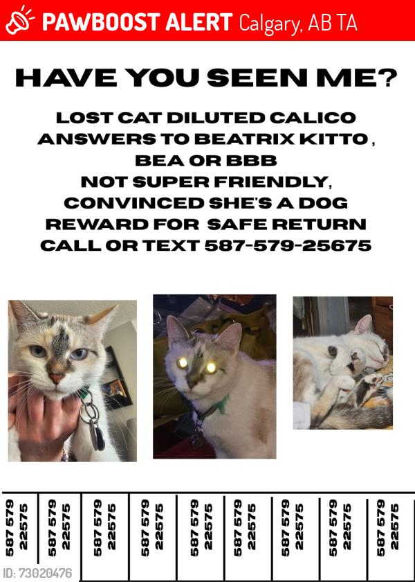 Lost Female Cat last seen Dalhousie drive, Dalhousie the fortress, Dalhousie , Calgary, AB T3A