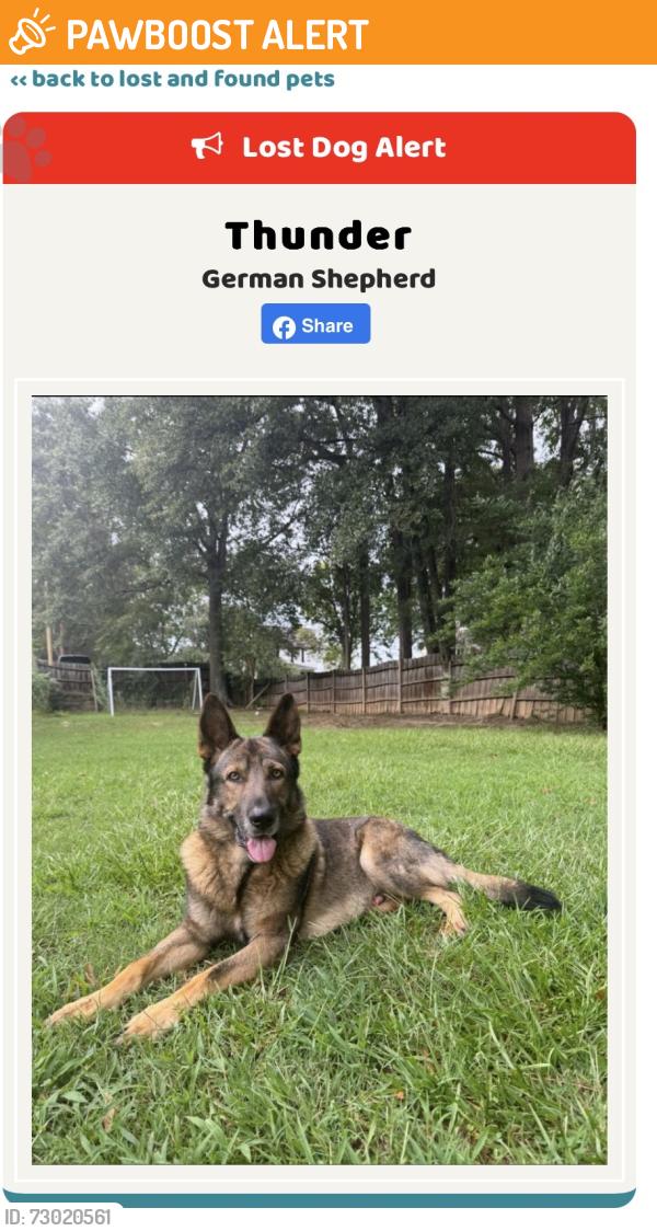 Found/Stray Unknown Dog last seen Peach tree road, Spartanburg County, SC 29323