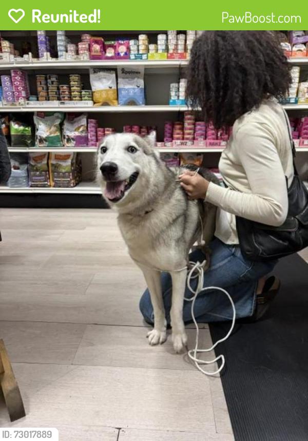 Reunited Female Dog last seen Throop, Brooklyn, NY 11221
