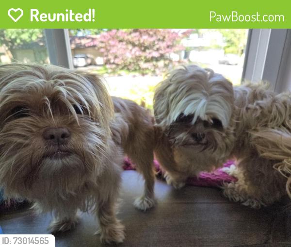 Reunited Unknown Dog last seen NA, Gaithersburg, MD 20879