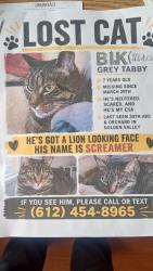 Lost Male Cat last seen 34th Ave north an Noble , Crystal, MN 55422