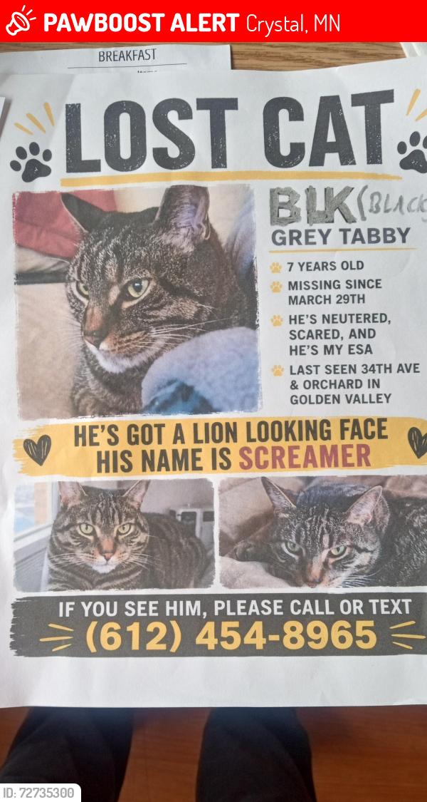 Lost Male Cat last seen 34th Ave north an Noble, Crystal, MN 55422