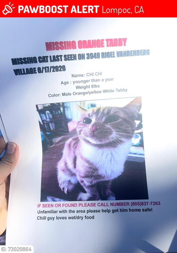 Lost Male Cat last seen Near Rigel ave Vandenberg village, Lompoc, CA 93436