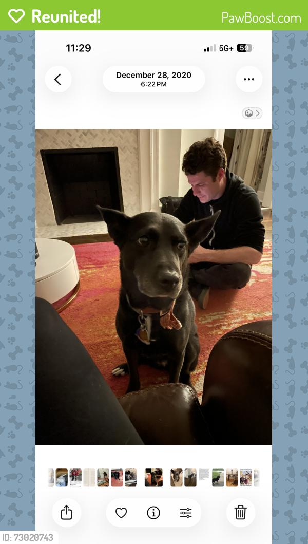 Reunited Female Dog last seen 51st and Lydia, Kansas City, MO 64110