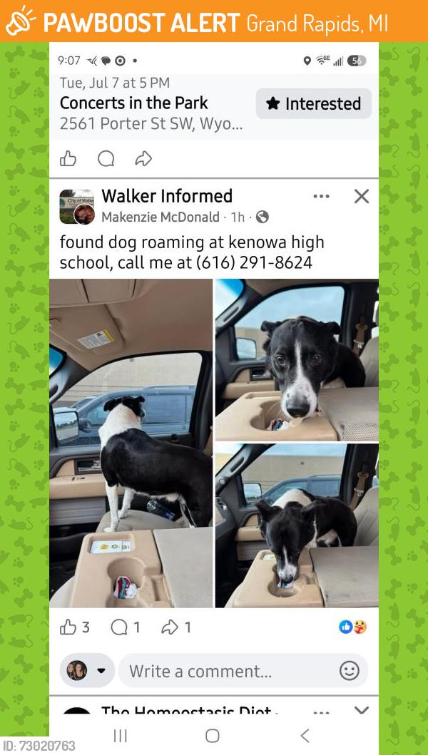 Found/Stray Unknown Dog last seen Kenowa high, Grand Rapids, MI 49544