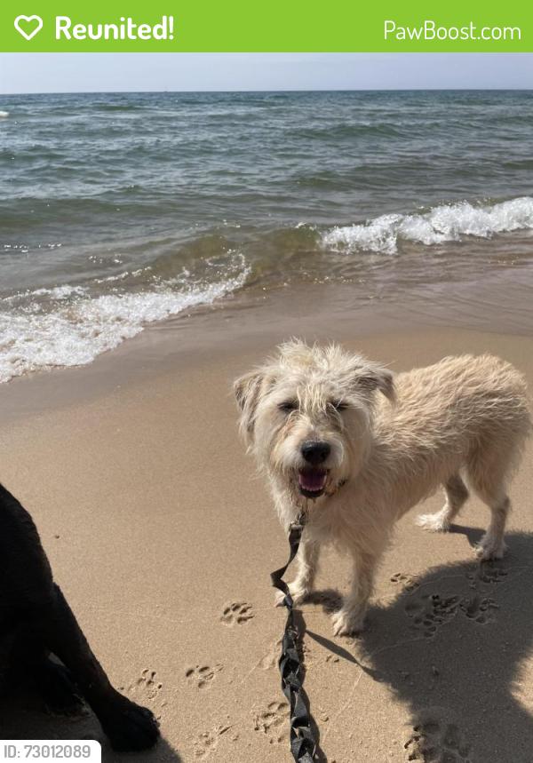 Reunited Female Dog last seen Richard Jones and Hillmont, Nashville, TN 37215