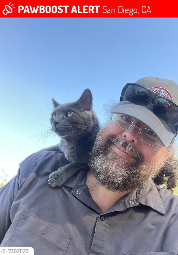 Lost Male Cat last seen Mobilehome, San Diego, CA 92120