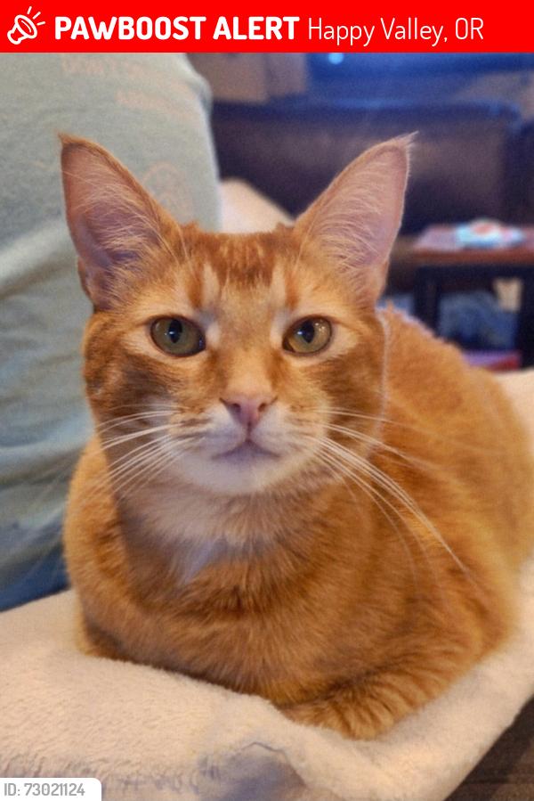 Lost Male Cat last seen Ridgecrest and Parkwood Way, Happy Valley, OR 97086