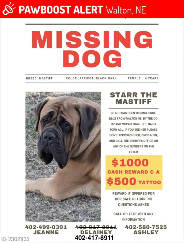 Lost Female Dog last seen Co-op and MoPac Trail, Walton, NE 68520