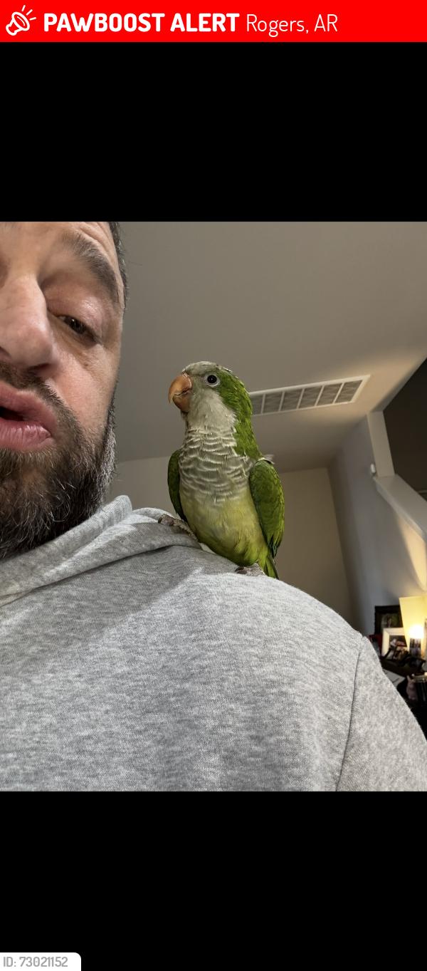 Lost Male Bird last seen New Hope and 71B, Rogers, AR 72758