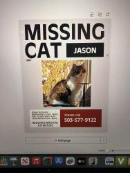 Lost Male Cat last seen Silverlake, Garfield, Reed market, Brookswood, Bend, OR 97702