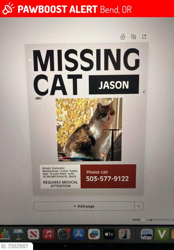 Lost Male Cat last seen Silverlake, Garfield, Reed market, Brookswood, Bend, OR 97702