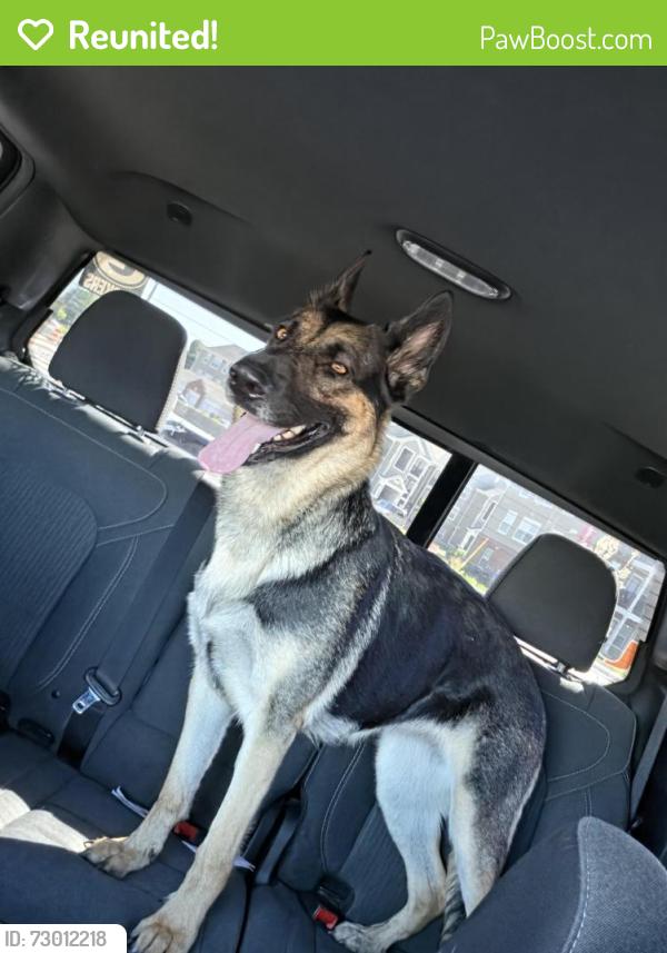 Reunited Female Dog last seen Leeland Ln  and Wrightford Dr Lebanon TN , Lebanon, TN 37087