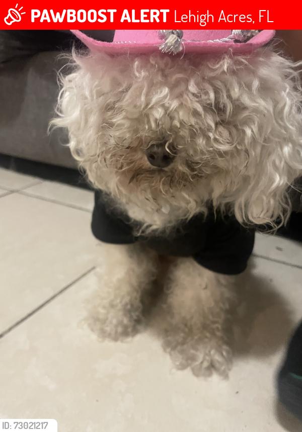 Lost Male Dog last seen Leonard, Lehigh Acres, FL 33973