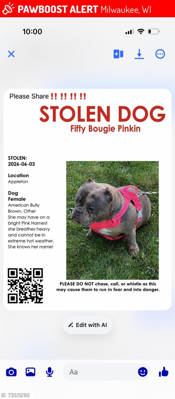 Lost Female Dog last seen Appleton, congress, Hampton , Milwaukee, WI 53225