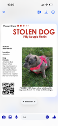 Lost Female Dog last seen Appleton, congress, Hampton , Milwaukee, WI 53225