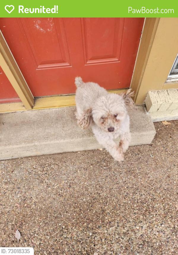 Reunited Male Dog last seen Brentwood Stair, Oak Hill, Fort Worth, TX 76112
