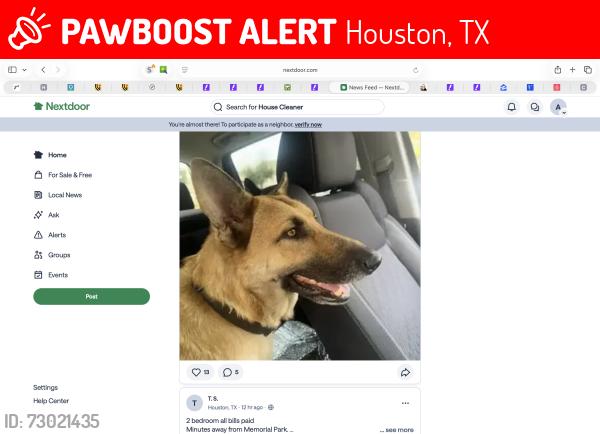 Lost Female Dog last seen Near w Tidwell Rd, Houston, TX 77092