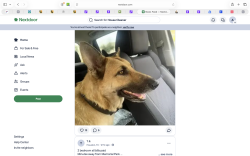 Lost Female Dog last seen Near w Tidwell Rd, Houston, TX 77092