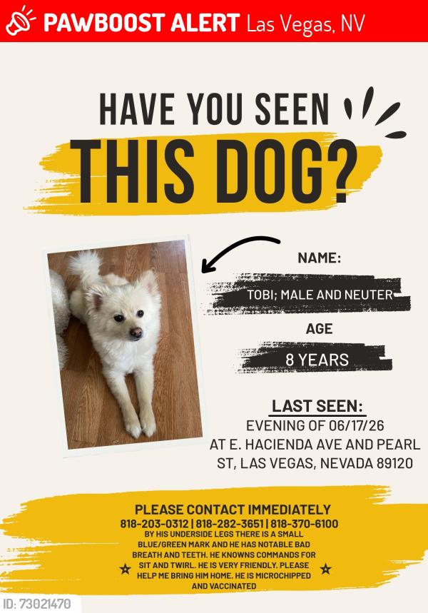 Lost Male Dog last seen Peral, Las Vegas, NV 89120