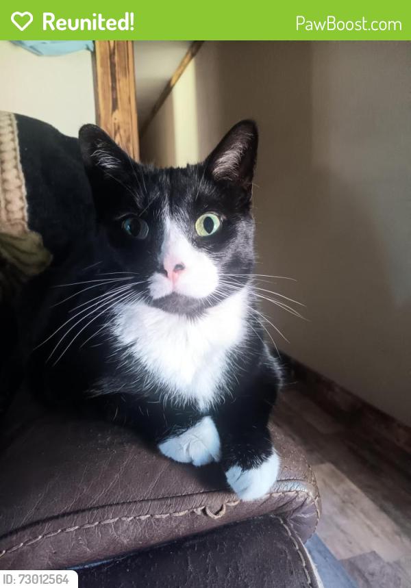 Reunited Male Cat last seen Cr 218, Middleburg, FL 32068