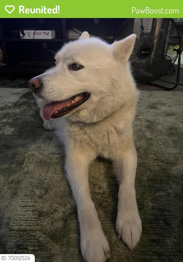 Reunited Male Dog last seen Madison at Rivers Edge, Auburn, WA 98002