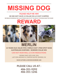 Lost Male Dog last seen Near W. Charter Oak Rd, Edmond, OK 73034