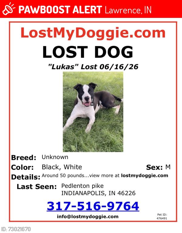Lost Male Dog last seen Oaklandon rd , Lawrence, IN 46236