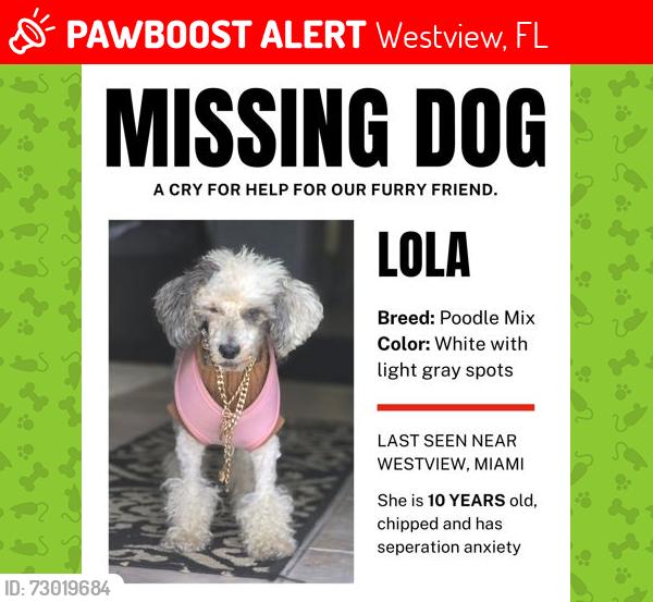 Lost Female Dog last seen Westview,  Miami, Westview, FL 33167