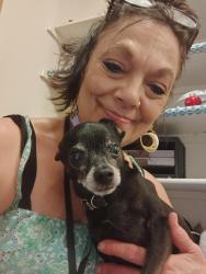 Lost Male Dog last seen 196th ave between Stark st and Glisan st., Gresham, OR 97233