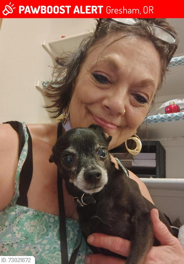 Lost Male Dog last seen 196th ave between Stark st and Glisan st., Gresham, OR 97233