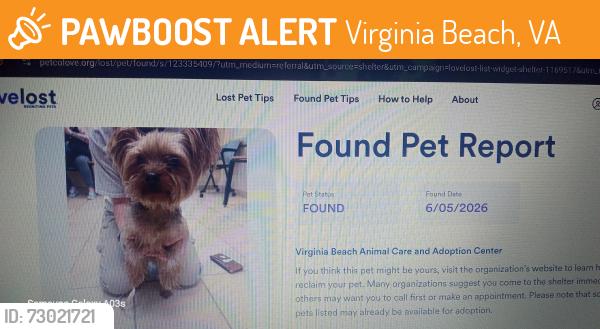 Found/Stray Male Dog last seen Near S Birdneck Rd , Virginia Beach, VA 23451