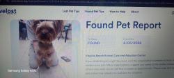 Found/Stray Male Dog last seen Near S Birdneck Rd , Virginia Beach, VA 23451