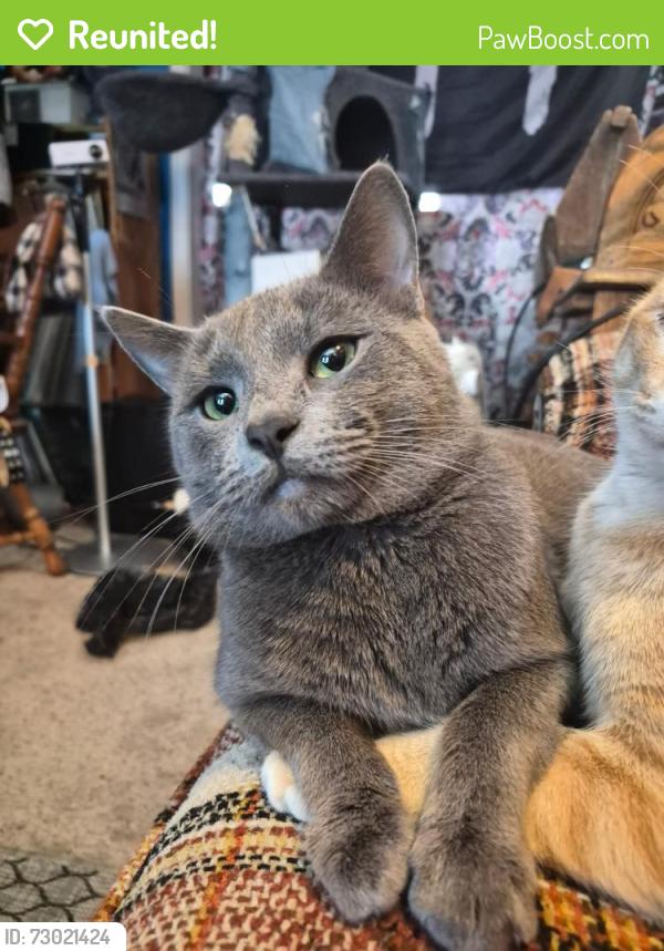 Reunited Male Cat last seen 5th. And Mt. Rushmore , Rapid City, SD 57701