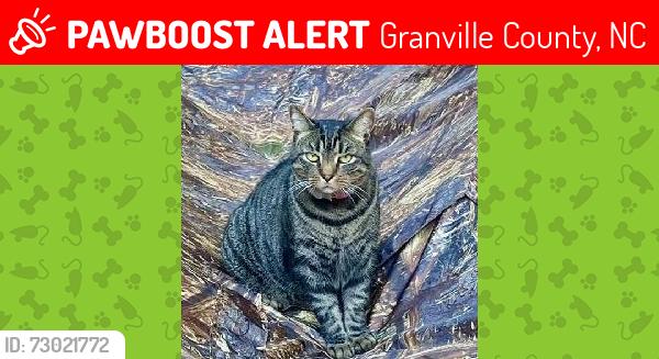 Lost Male Cat last seen Gate 2 Rd and Lyon Station, Granville County, NC 27509