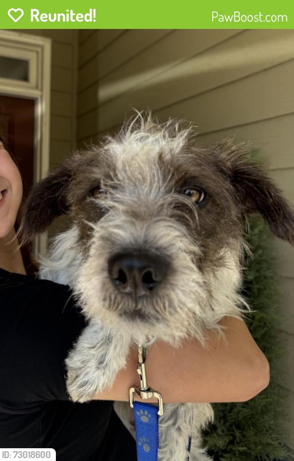 Reunited Female Dog last seen Rogersville between Wrightsville & Eastwood, Wilmington, NC 28403