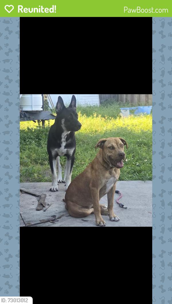Reunited Male Dog last seen Westpark , West Park, FL 33023