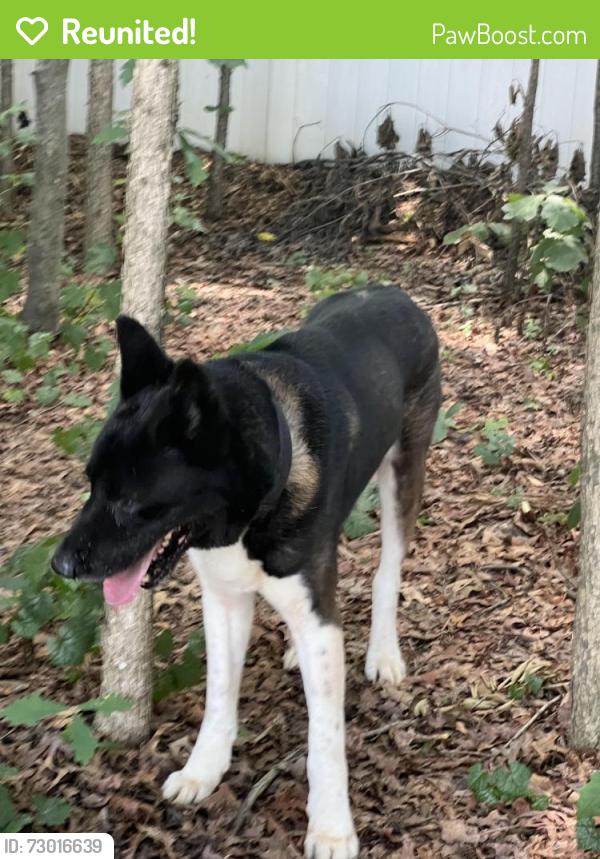 Reunited Male Dog last seen Robinson church rd, Charlotte, NC 28215